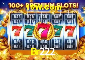 Br222 - Support