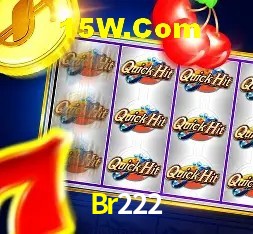 Br222 Slot - 320+ Caça-Níqueis Premium