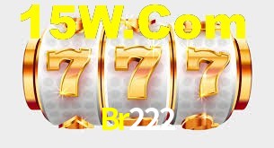 Daily Bonuses Br222