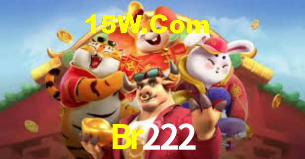 Br222 App - Aplicativo Móvel Oficial