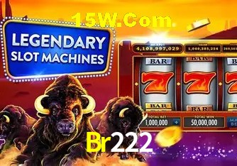 Br222 - User Statistics