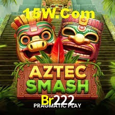 Secure Login Br222