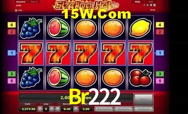 Sistemas de Segurança Br222