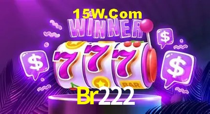 Br222 Salvador - Support